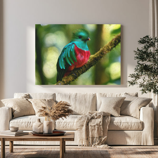 Resplendent Quetzal Cloud Forest