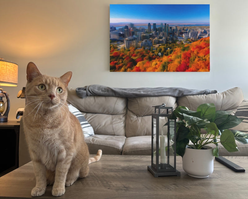 Autumn Skyline from Mont Royal — Montreal, Quebec, view 2