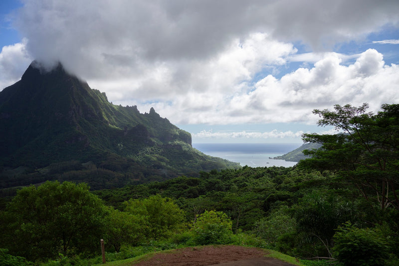 Moorea, French Polynesia study No. 01