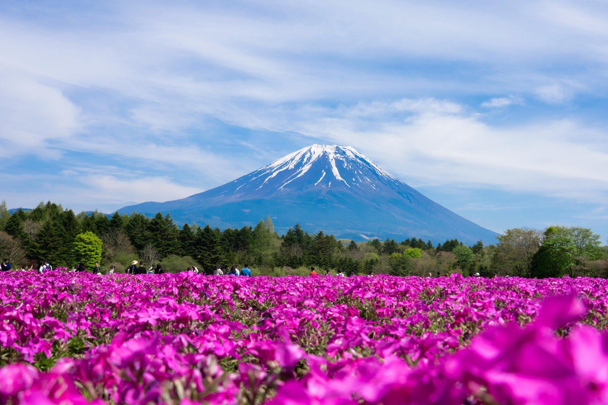 Mount Fuji, Japan visual study 03
