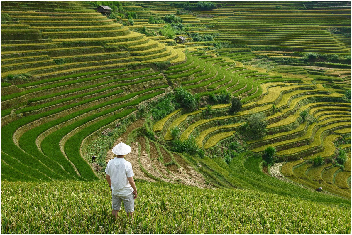 Archival study of Vietnamese cultural texture