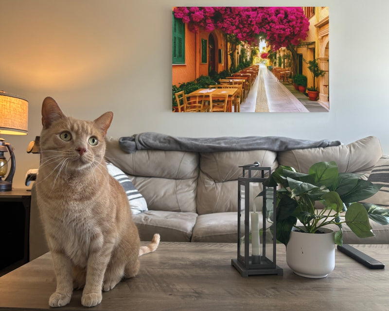 Nafplio Old Town Alley — Nafplio, Greece, view 2