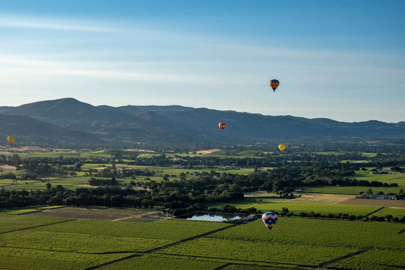Napa Valley, California visual study 02