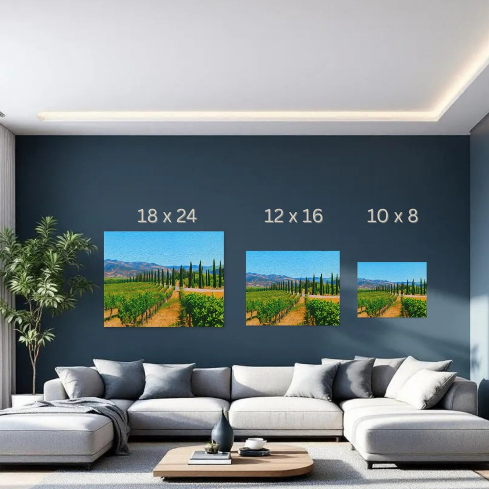 Napa Valley, California | Napa Valley Vineyard Vista | Original Series Gallery Canvas detail