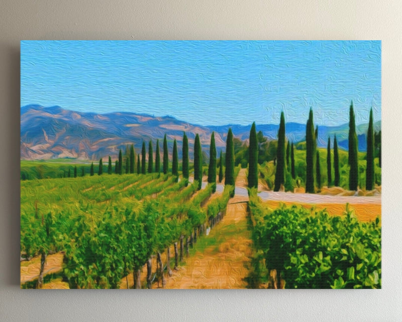 Napa Valley Vineyard Vista — Napa Valley, California