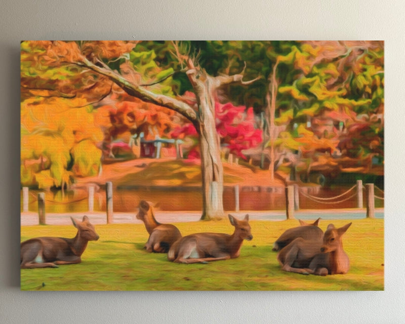 Sacred Deer in Autumn Park — Nara, Japan
