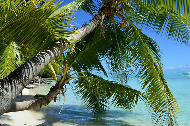New Caledonia, France visual study 02