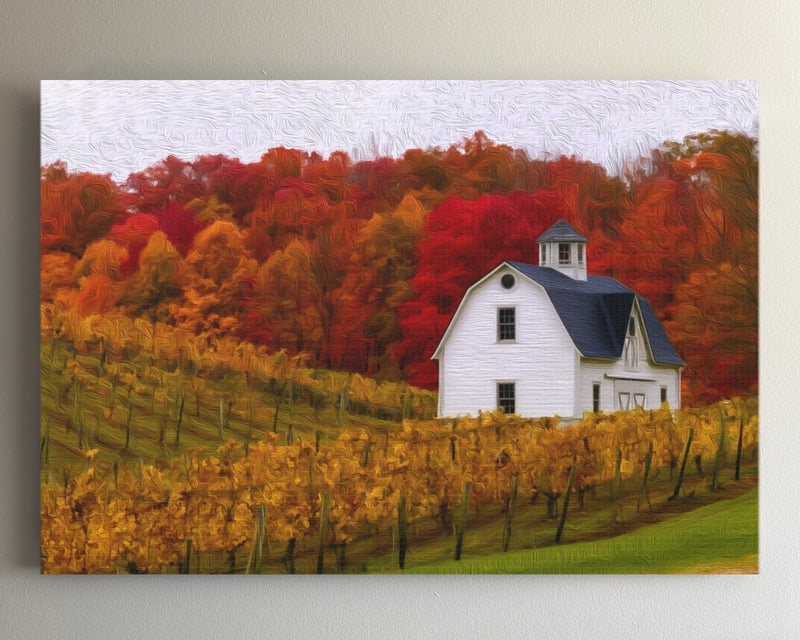 Autumn Vineyard Barn Scene — Niagara-on-the-Lake, Ontario
