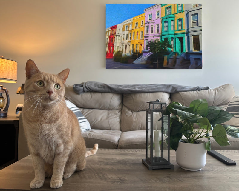 Colorful Notting Hill Townhouses — Notting Hill, London, view 2