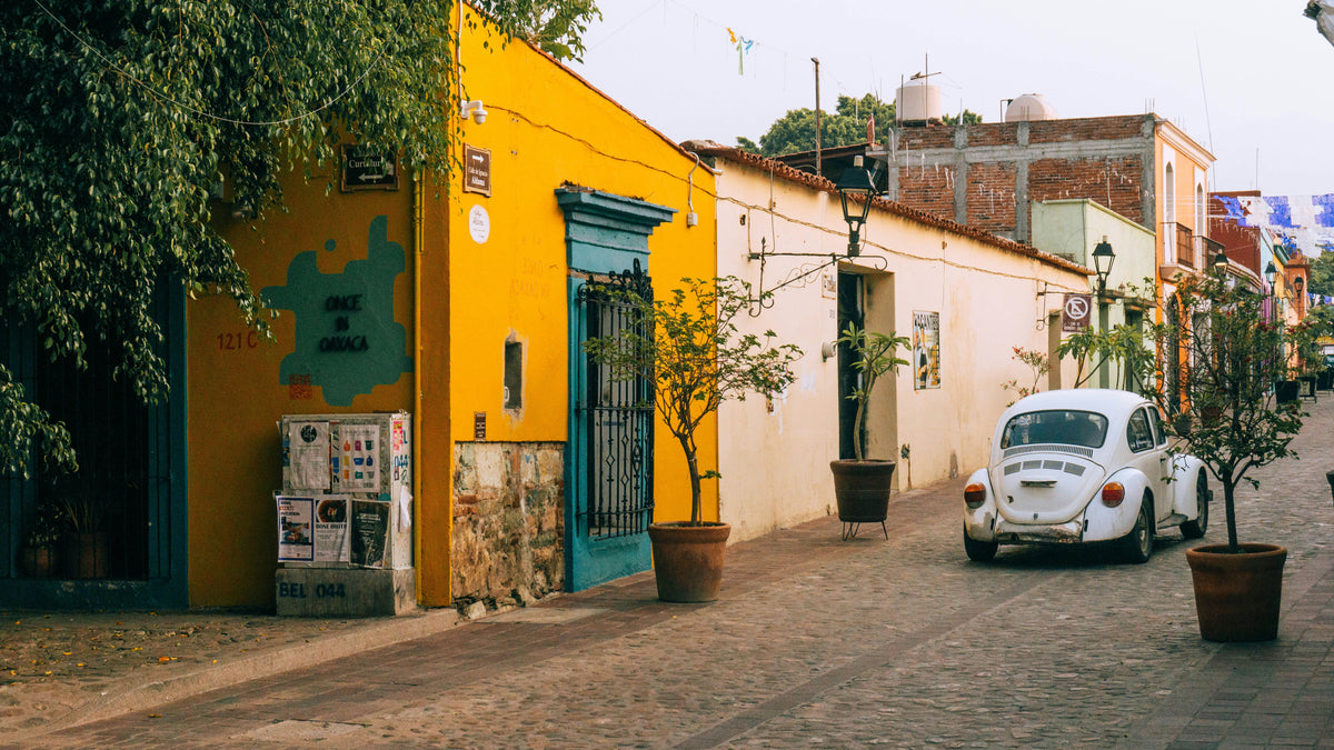 Oaxaca, Mexico study No. 01