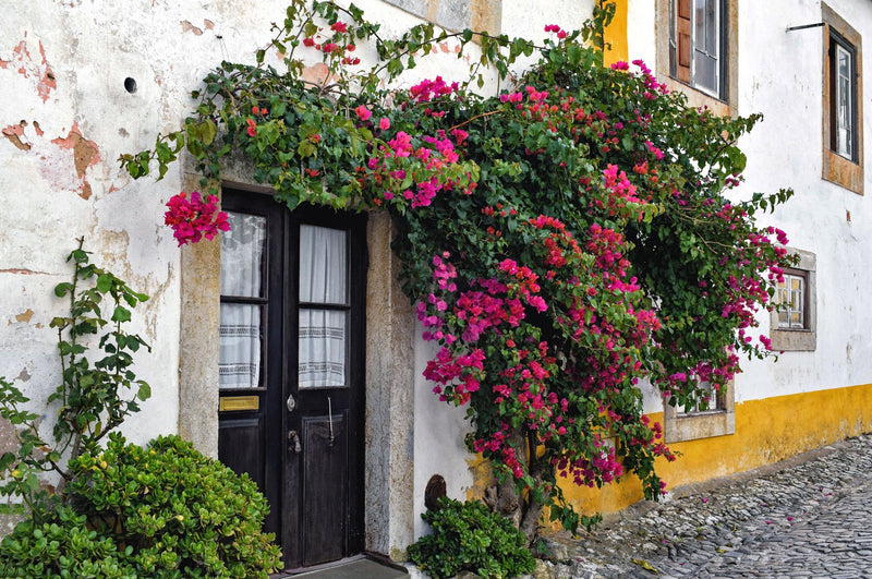 Obidos, Portugal study No. 03