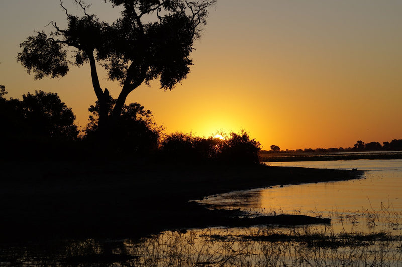 Okavango Delta, Botswana visual study 03