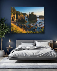 Rocky Pacific Coastline Views — study 1 thumbnail