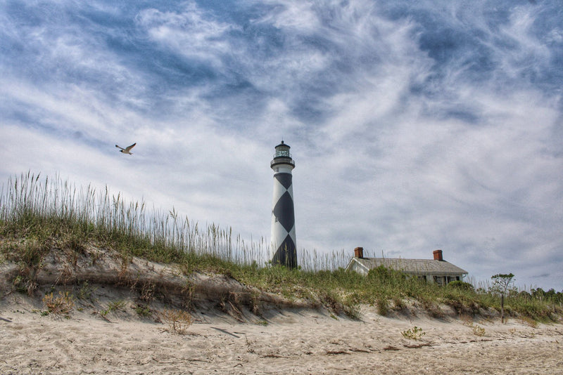 Outer Banks, North Carolina study No. 03