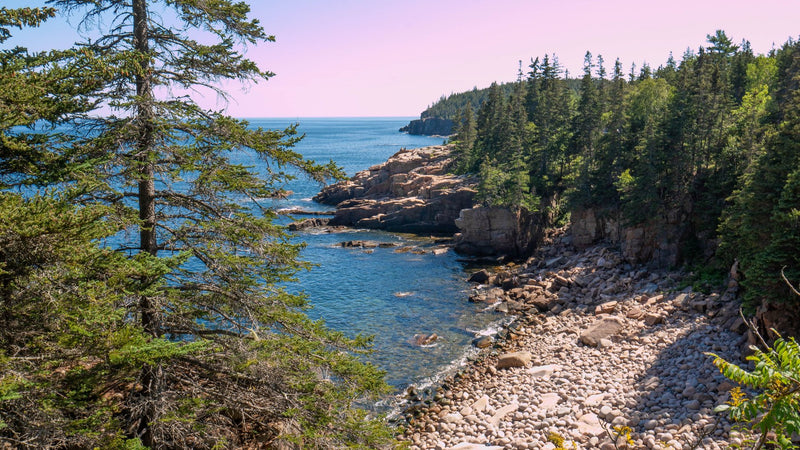 Bar Harbor, Maine study No. 02