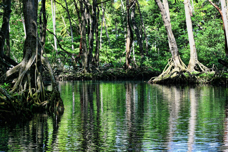Palau, Palau visual study 03