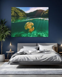 Jellyfish Lake Palau — study 1 thumbnail