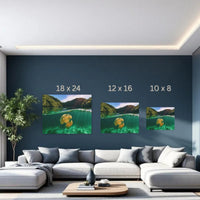 Jellyfish Lake Palau — study 3 thumbnail