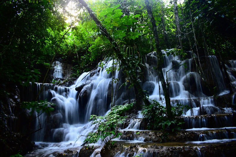 Palenque, Mexico visual study 02