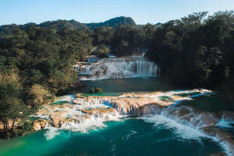 Palenque, Mexico visual study 03