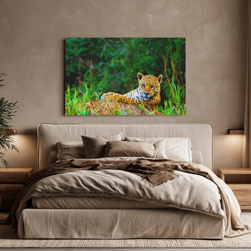 Jaguar in Pantanal Wetlands — Pantanal, Brazil, view 6