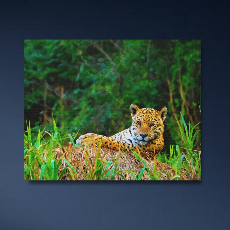 Pantanal, Brazil