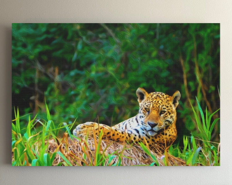 Jaguar in Pantanal Wetlands — Pantanal, Brazil