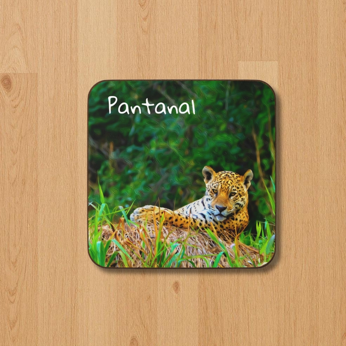 Jaguar in Pantanal Wetlands — Pantanal, Brazil, study 1