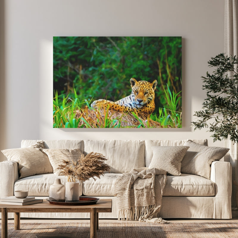Jaguar in Pantanal Wetlands — Pantanal, Brazil, view 1