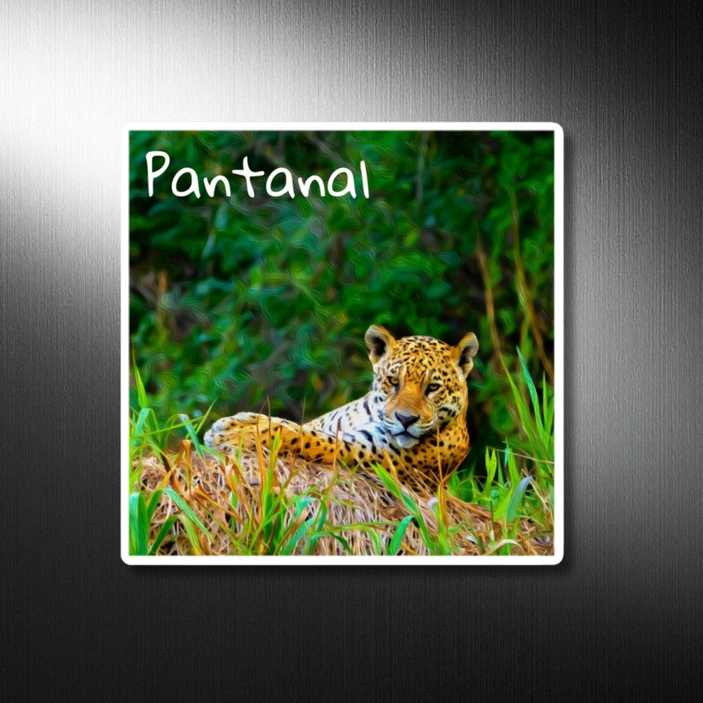 Pantanal, Brazil | Jaguar in Pantanal Wetlands | Original Series Decorative Magnet