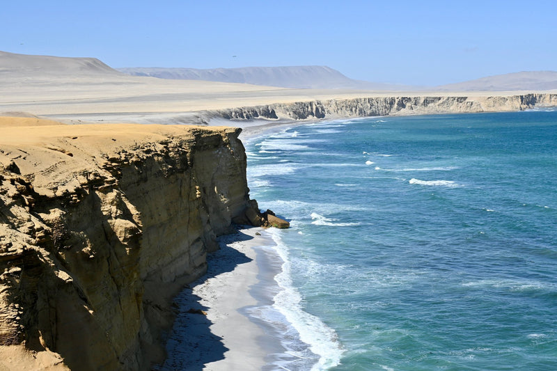 Paracas, Peru study No. 01