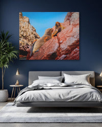 Sea Lions on Rocky Cliffs — study 1 thumbnail