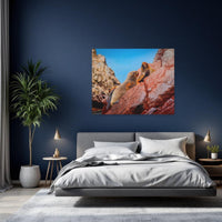 Sea Lions on Rocky Cliffs — study 2 thumbnail