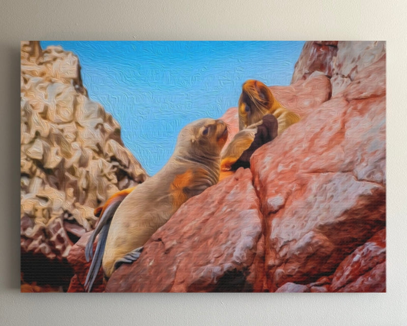 Sea Lions on Rocky Cliffs — Paracas, Peru