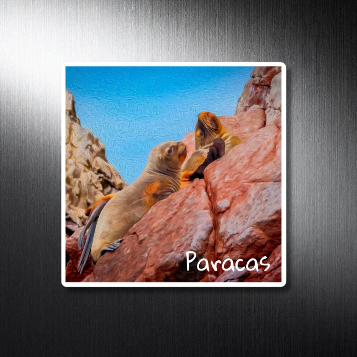 Paracas, Peru Study No. 1