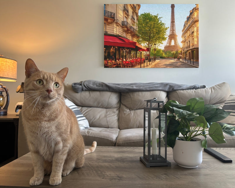 Paris Cafe Street Scene — Paris, France, view 2