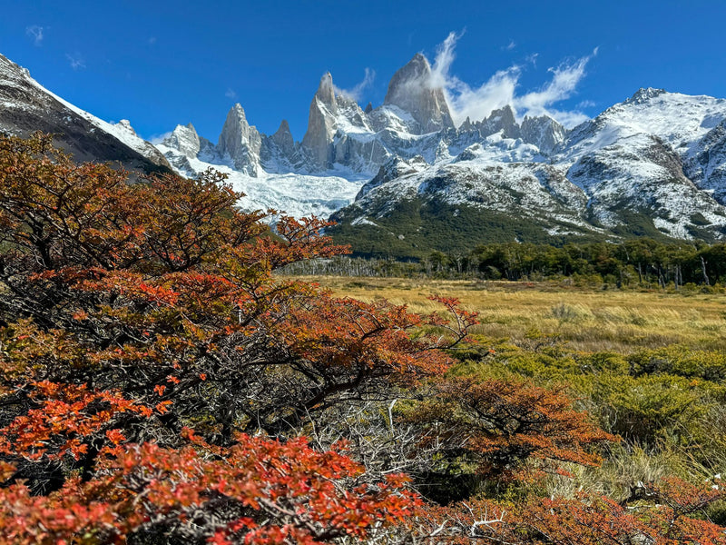 Patagonia, Argentina study No. 03