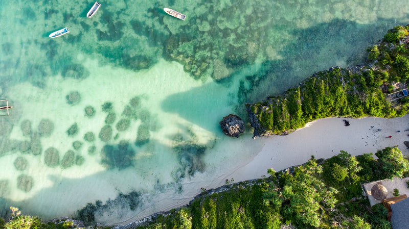 Pemba Island, Tanzania study No. 02