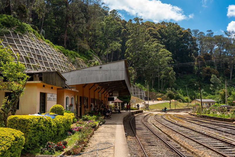 Penang Hill, Malaysia study No. 03
