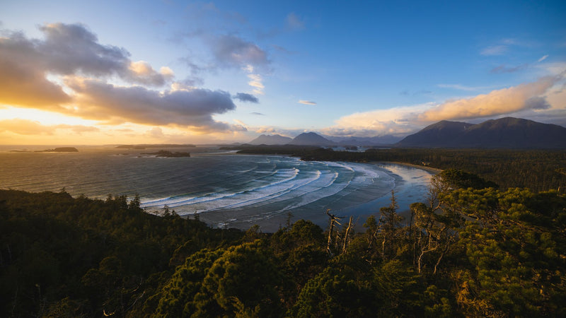 Tofino, British Columbia study No. 01