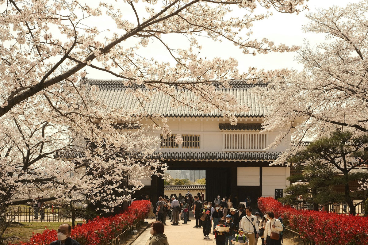 Archival study of Japanese cultural texture