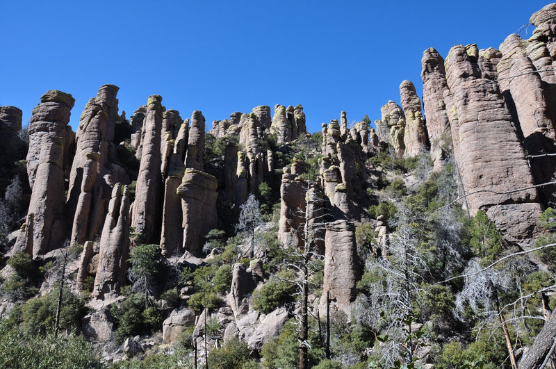 Pinnacles National Park, California study No. 01