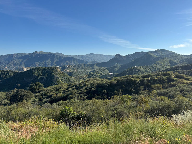 Pinnacles National Park, California study No. 02