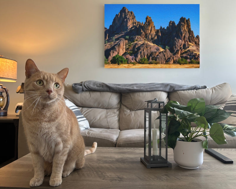 Jagged Rock Spires Formation — Pinnacles National Park, California, view 2