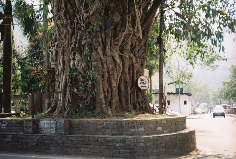 Pokhara, Nepal visual study 02