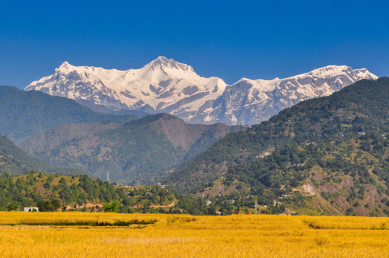 Pokhara, Nepal visual study 03