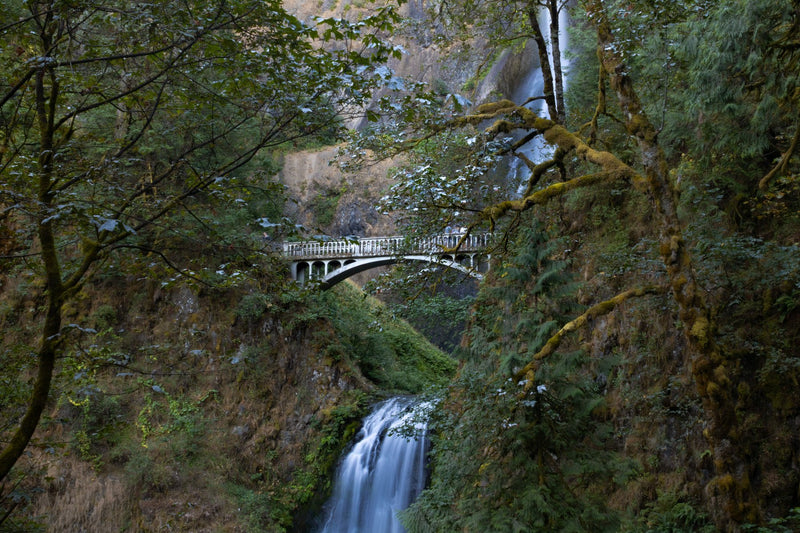 Portland, Oregon study No. 03