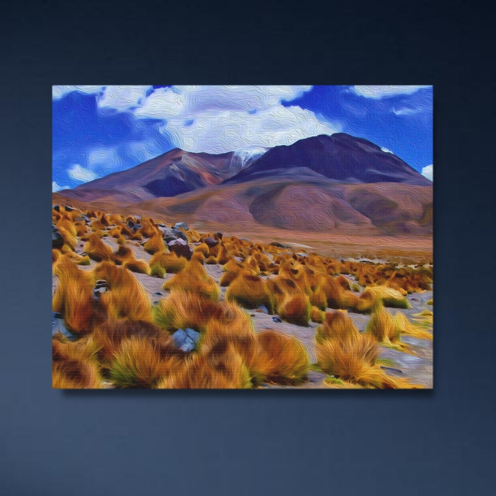 Potosi, Bolivia | Andean Highland Desert Landscape | Original Series Gallery Canvas detail