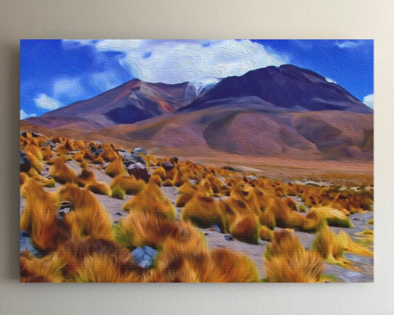 Andean Highland Desert Landscape — Potosi, Bolivia