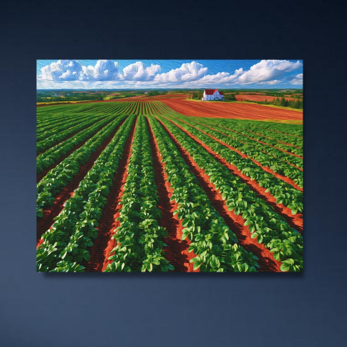PEI Red Soil Potato Fields — Prince Edward Island, Canada Study No. 4